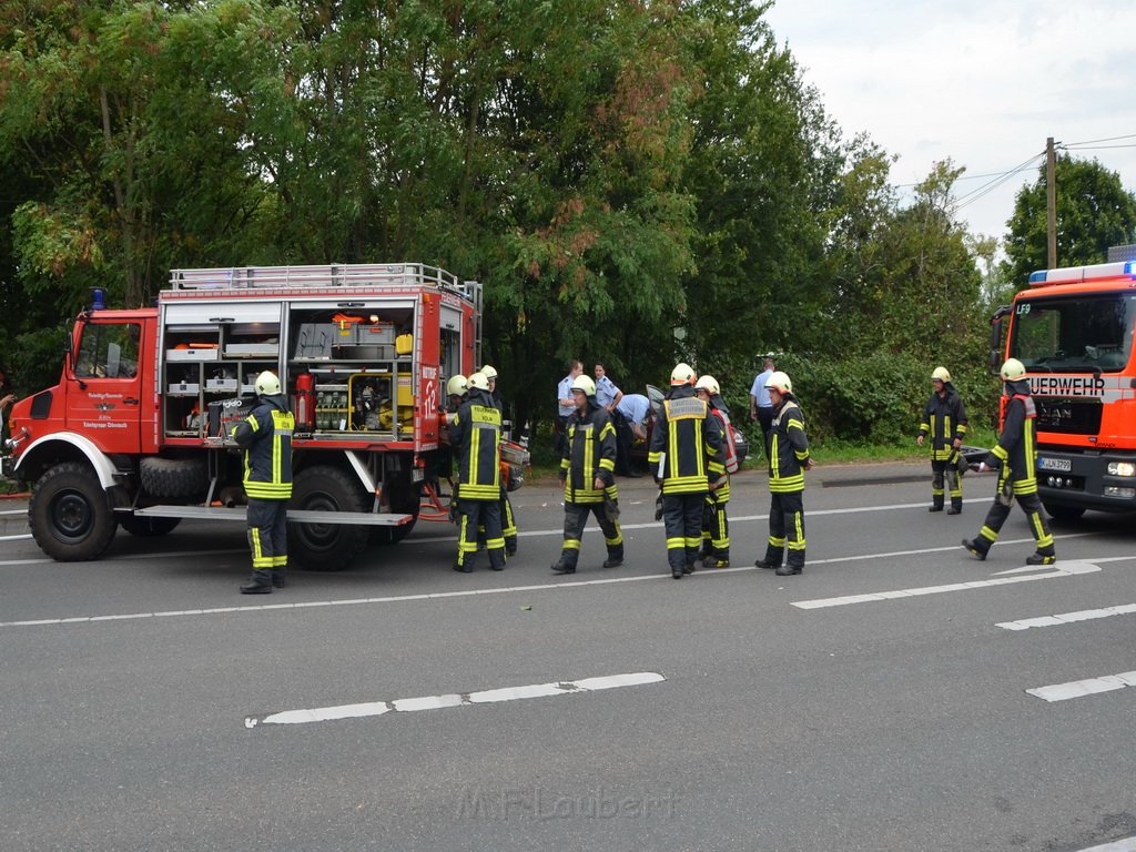 PKlemm Koeln Duennwald Am Weissen Moench Duennwalder Kommunalweg P13.JPG - Miklos Laubert